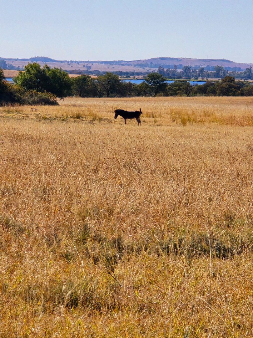 Commercial Property for Sale in Klerksdorp Rural North West